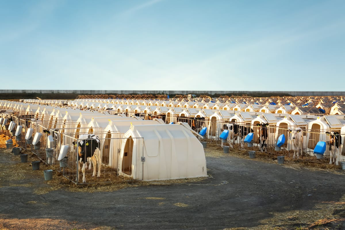 Sexed semen: historical impact and future opportunity